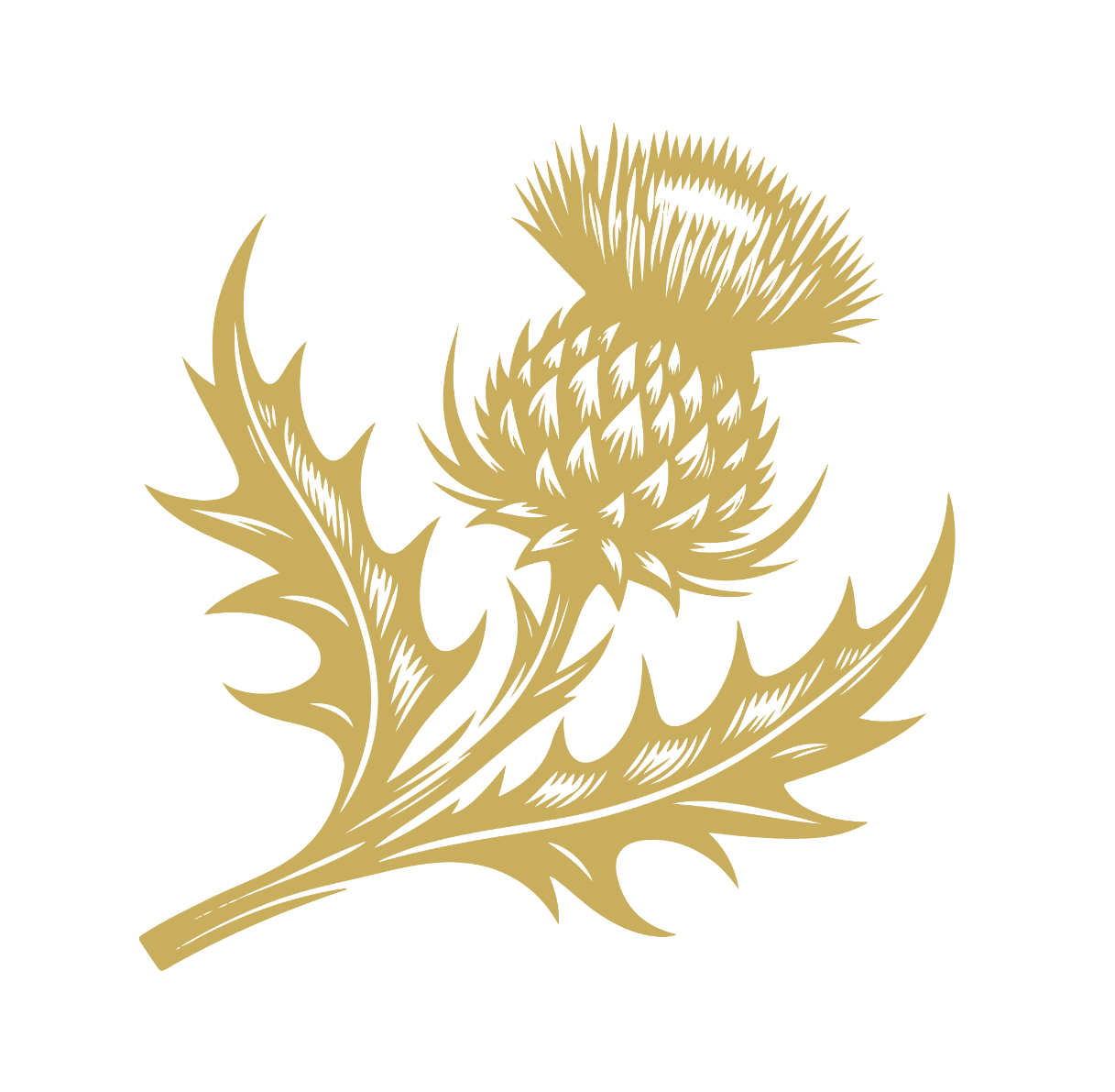 Ardlui icon